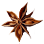 Star Anise ingredient