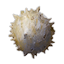 Scorpion Egg-sac