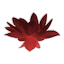 Crimson Lotus Flower