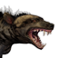 Tamed Striped Hyena