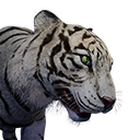 White Tiger