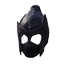 xxx_Stygian Raider Mask_Surge