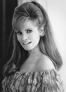 A Picture of Raquel Welch