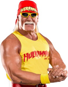 A Picture of Hulk Hogan