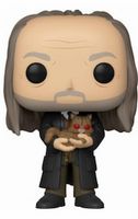 101 Filch w/ Mrs Norris NYCC Harry Potter Funko pop