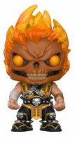 255 Scorpion with Flaming Skull HT Mortal Kombat Funko pop