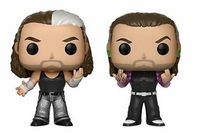 0 Hardy Boyz 2 Pack World Wrestling Entertainment Funko pop