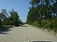 Princess Place Preserve Flagler County Palm Coast Florida 5.jpg