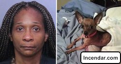 Florida woman accused of leaving dog to die in dumpster because she could't afford it