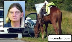 Florida woman arrested for DUI while riding a horse