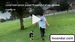 Florida man saves puppy thrown out of car window