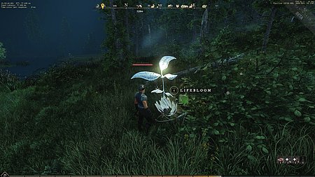  gathering harvesting lifebloom identification image for Amazon New World